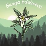 Bunga Edelweiss