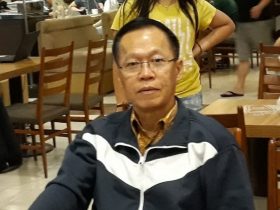 Burung-Burung Manyar